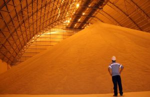 Alta da soja melhora comercialização em MS