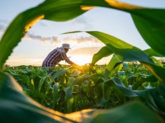 MP de dívida rural foca em perdas climáticas, diz Durigan