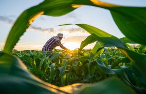 MP de dívida rural foca em perdas climáticas, diz Durigan