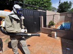 Casos suspeitos de chikungunya despencam após pico da epidemia em Dourados