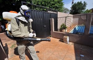 Casos suspeitos de chikungunya despencam após pico da epidemia em Dourados