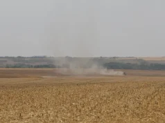 Estudo propõe avanços na rastreabilidade ambiental da soja e da carne