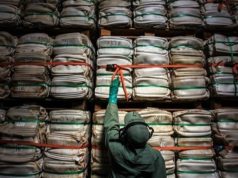 Mercado bilionário atrai uma nova corrida ao Brasil