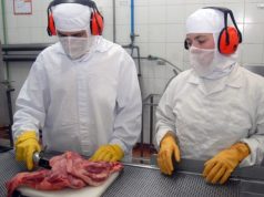 Exportações brasileiras crescem 11,8% de janeiro até primeira semana de julho