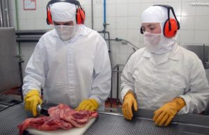 Exportações brasileiras crescem 11,8% de janeiro até primeira semana de julho