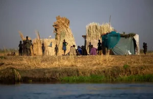 Fome mundial atinge 645 milhões de pessoas, diz relatório da ONU