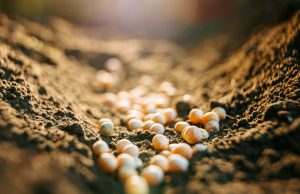 Instabilidade internacional causa aumento no preço de fertilizantes