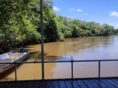 Vai pescar? Estudo diz que Dourados é destino promissor ao turismo de pesca esportiva