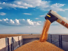Valor Bruto da Produção Agropecuária é estimado em R$ 1,4 trilhão em junho
