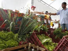 Decreto adia exigência de CNPJ para autônomos e produtores rurais
