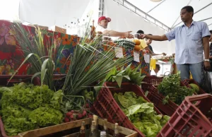 Decreto adia exigência de CNPJ para autônomos e produtores rurais