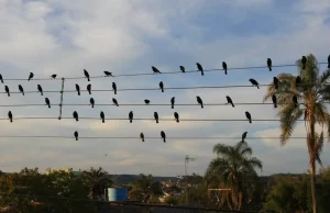 Fotografia feita há 17 anos inspira campanha vencedora do Leão de Ouro