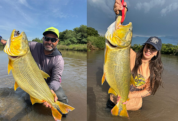 peixe