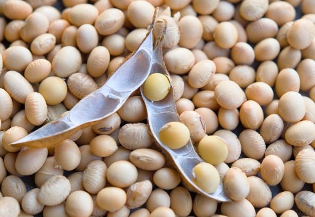 soybeans-in-pod-on-top-of-pile-2026-01-09-00-58-38-utc